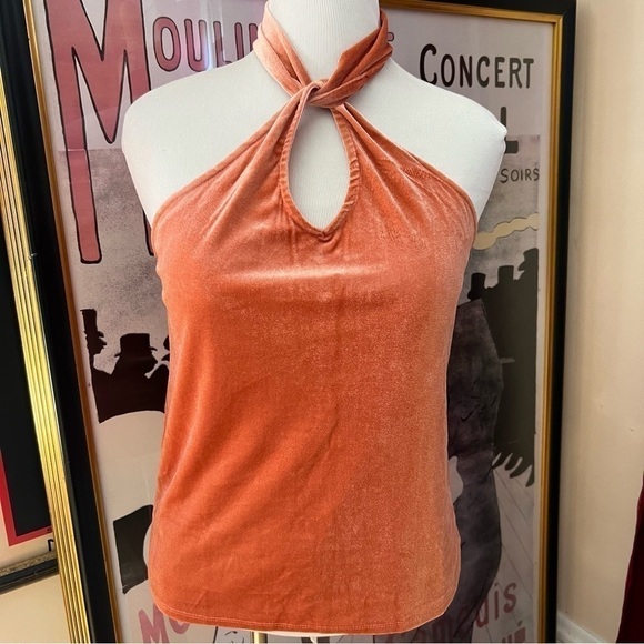 New York and Company Turkish Rust Sleeveless Halter Neck Velvet Top Size Large - Picture 12 of 12
